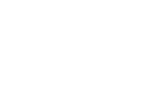Movit - Institute for the development of youth mobility