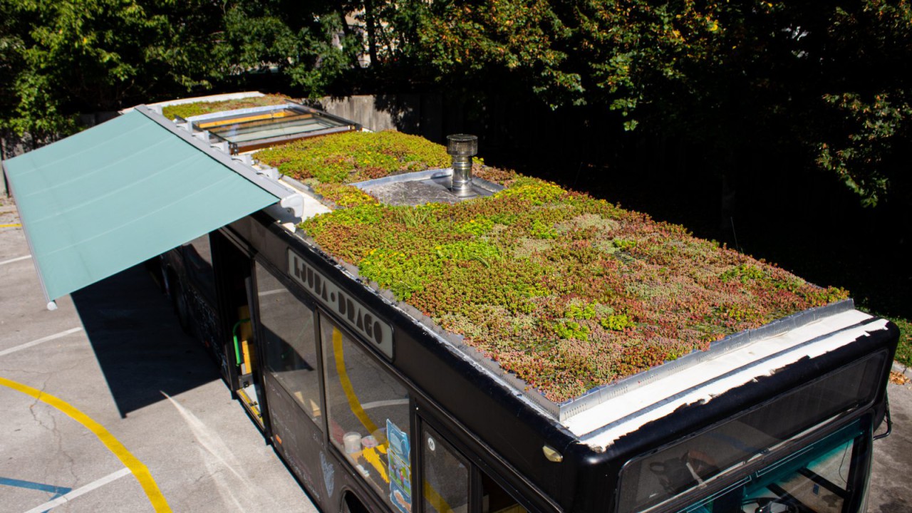 The living roof of the bus