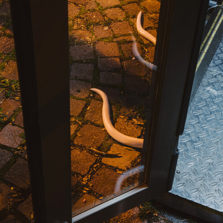 Ronja Hage Tange: NIGHTSHADE 4