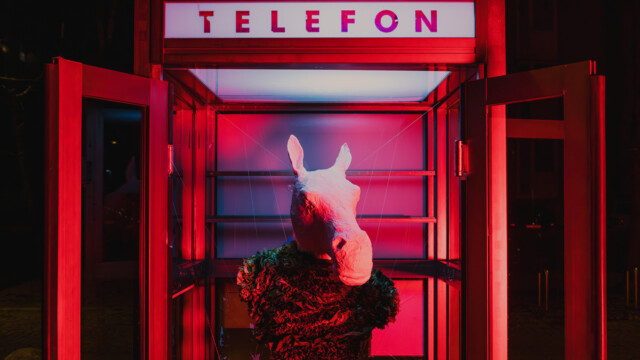 Poberi šila in kopita 1