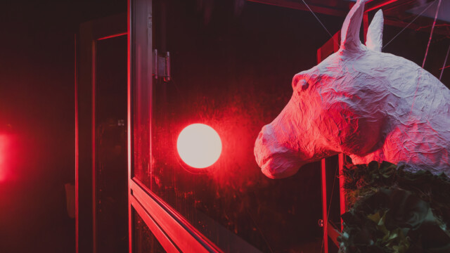 Poberi šila in kopita 5