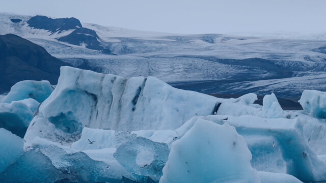 Igra vlog (LARP) v Mladih zmajih Golovec – Podnebne perspektive