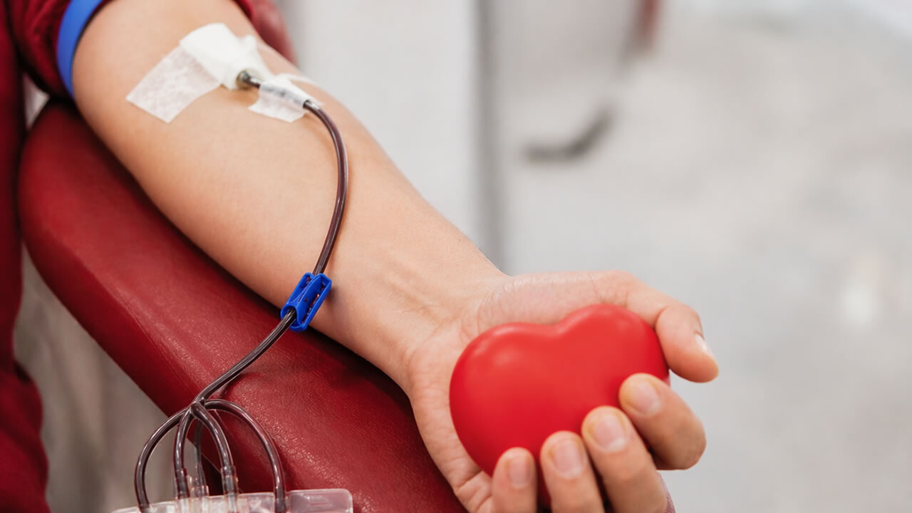 Od A do Ž: krvodajalstvo, darovanje organov in tkiv